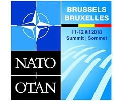 Logo nato summit size